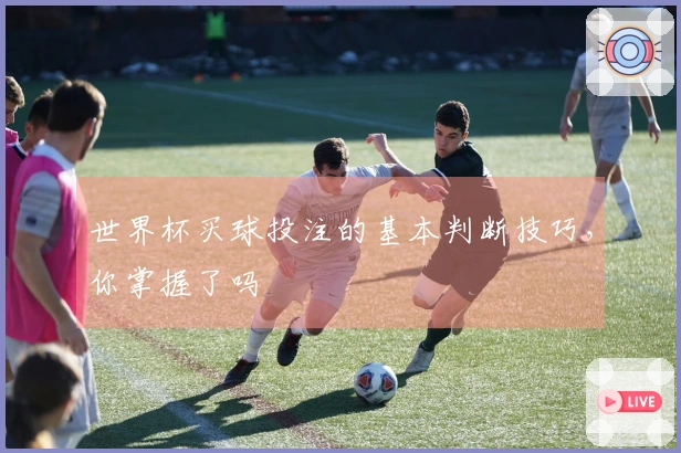 世界杯买球投注的基本判断技巧，你掌握了吗