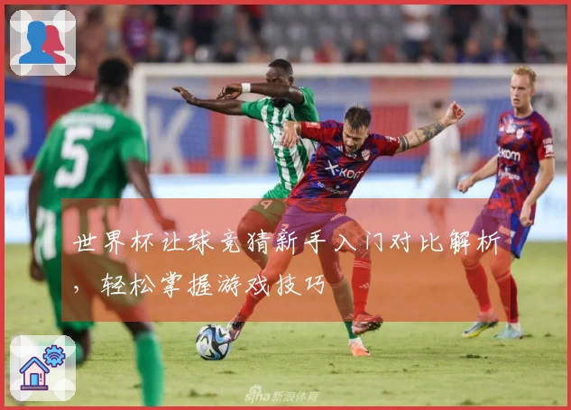 世界杯让球竞猜新手入门对比解析，轻松掌握游戏技巧